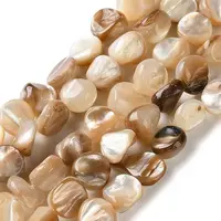 Natural Trochus Shell Beads Strands