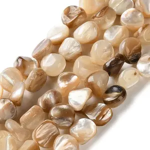 Natural Trochus Shell Beads Strands