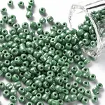 6/0 Glass Seed Beads