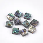 Abalone Shell/Paua Shell Beads