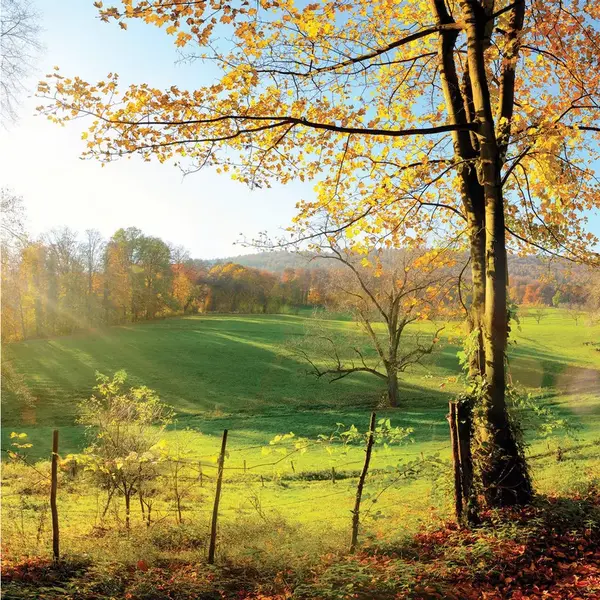 OBRAZ NA SKLE, krajina a příroda, 30/30/1,40 cm