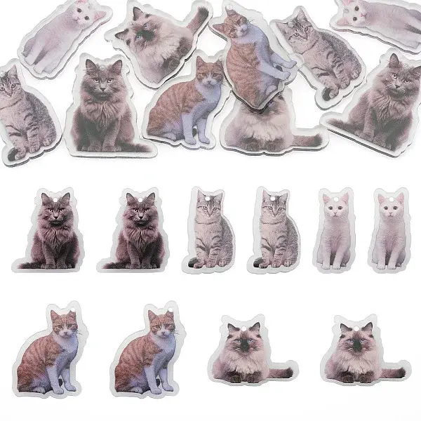 10Pcs 5 Styles Printed Acrylic Pendants