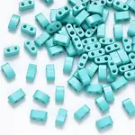 FGB 2-Hole Baking Paint Glass Seed Beads