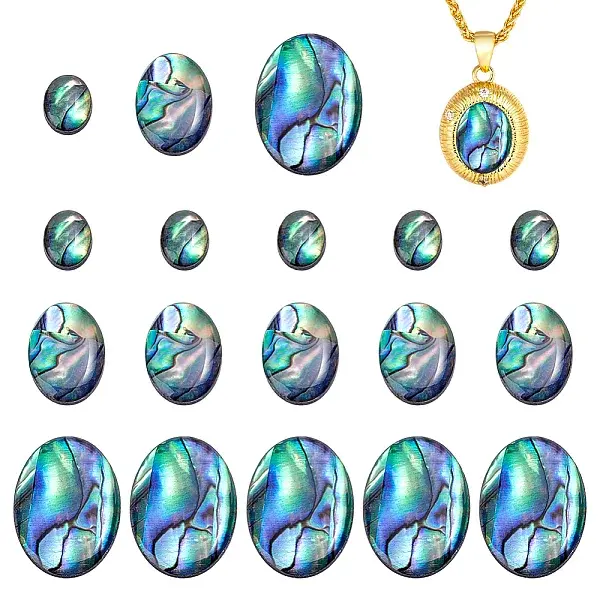 18Pcs 3 Styles Natural Paua Shell Cabochons