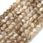 Natural Freshwater Shell Beads Strands