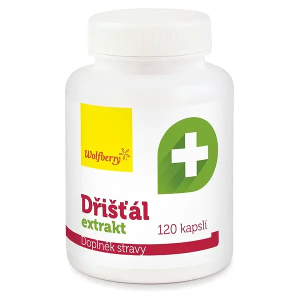 WOLFBERRY Dřišťál extrakt 120 kapslí