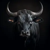 OBRAZ NA PLÁTNĚ, zvířata, 55/55 cm