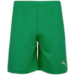 PUMA Športové nohavice 'TeamRise'  zelená / biela