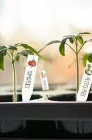 DIY sada štítků na rostliny Graine Creative Crazy Plastic Kit