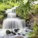 Euroart OBRAZ NA SKLE, krajina a příroda, 30/30/1,40 cm