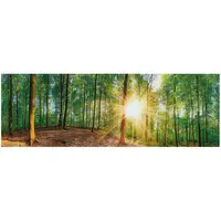 Euroart OBRAZ NA SKLE, stromy, 33/98 cm