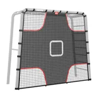 BERG PlayBase Soccer target net M