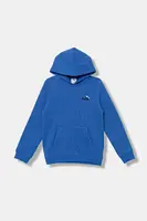Dětská mikina Puma ESS 2 COLOR Small No. 1 Logo Hoodie FL