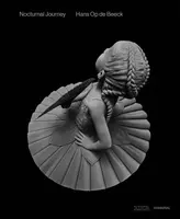 Nocturnal Journey - Hans Op de Beeck