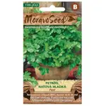Petržlen vňaťový hladký