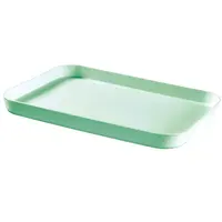 Obojstranný podnos essentials - 241953 hráškový