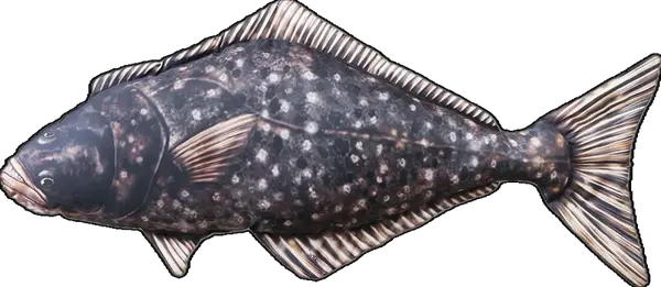 Gaby plyšová ryba halibut 72 cm