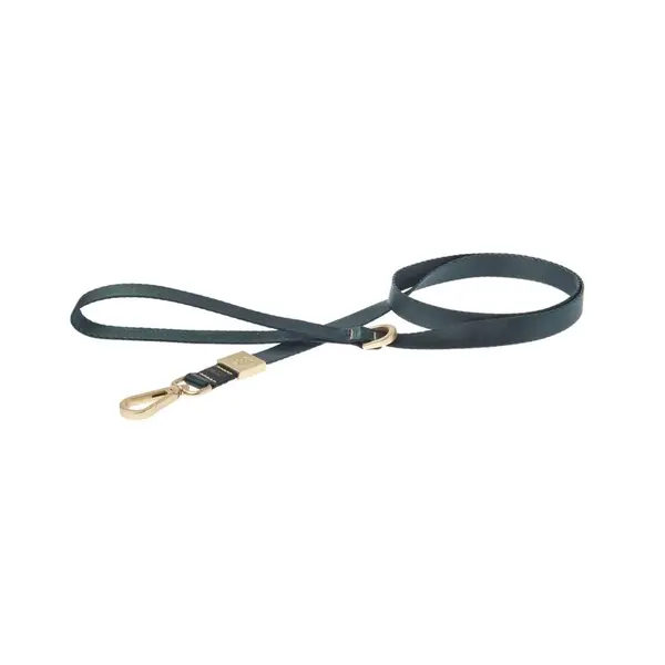 Ferribiella Lahvově zelené vodítko MIDA