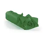480 x Hedvábný papír v balení, 50x75cm, tmavě zelený | RAJA