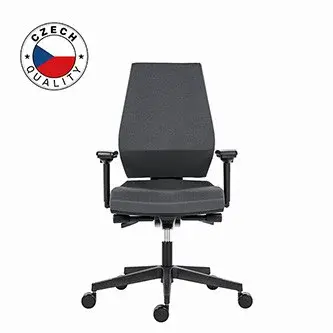 Powerton ERGO SIMA Kancelářské ergonomické křeslo, Šedé