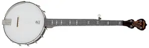 Deering Artisan Goodtime Openback Banjo