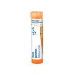 Boiron BELLIS PERENNIS CH15 granule 4 g