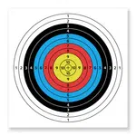Terč inSPORTline Dabbak 60x60cm 10ks