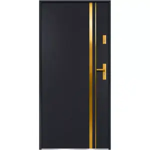 Vchodové dveře Aion S68 90L Zlatý dub
