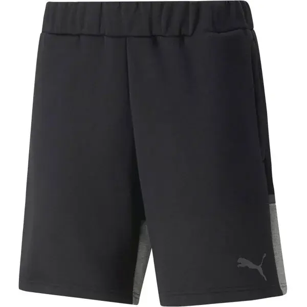 Puma TEAMCUP CASUALS SHORTS Pánske športové šortky, čierna, veľkosť