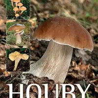Houby střední Evropy (Defekt) - Josephine Baconová