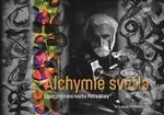 Alchymie světla (Experimentální tvorba Petra Skaly) - kniha z kategorie Film
