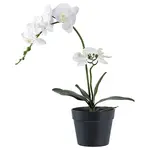 Umělá rostlina v květináči House Nordic Orchid zelená barva
