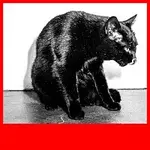 Dunaj, Jana Vébrová – Ilegální tanečnice