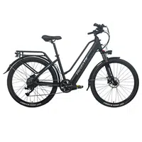 Heda TX TX10 Electric Bike 500W 48V 19.2AH Black