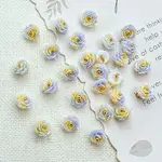 Two Tone Transparent Resin Charms