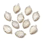 Natural Trochid Shell/Trochus Shell Pendants