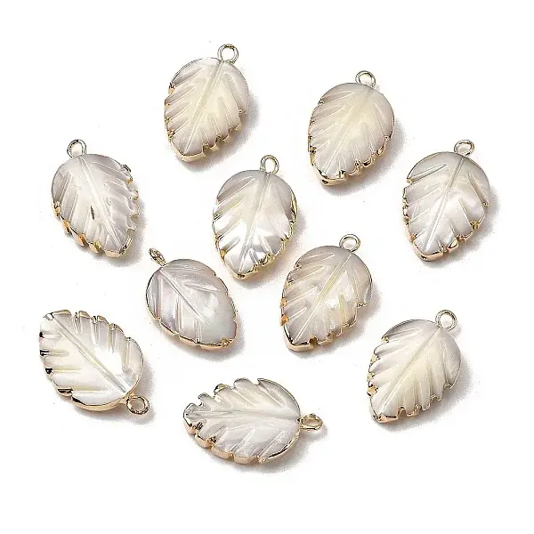 Natural Trochid Shell/Trochus Shell Pendants