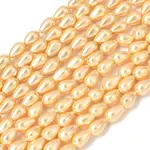 Electroplated Shell Pearl Beads Strands