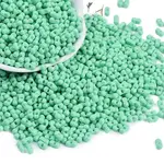Baking Paint Glass Seed Beads
