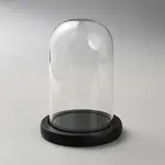 Glass Dome Cover