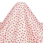 Polyester Mesh Lace Fabric