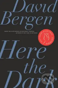 Here the Dark - David Bergen - kniha z kategorie Společenská beletrie