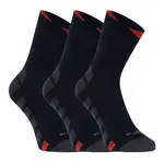 VoXX 3PACK ponožky modré (Gastl) L