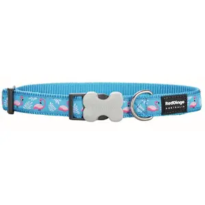 Nylonový obojok Red dingo FLAMINGO modrý, Veľkosť: L