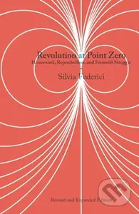 Revolution at Point Zero (2nd. Edition) (Housework, Reproduction, and Feminist Struggle) - kniha z kategorie Humanitní a společenské vědy