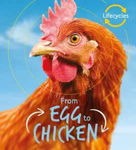 Lifecycles: Egg to Chicken - Camilla de la Bédoyére