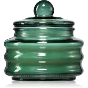 Paddywax Beam Cypress & Fir vonná sviečka 85 g