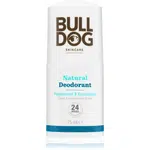 Bulldog Peppermint & Eucalyptus Deodorant dezodorant roll-on 75 ml