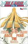 Bleach 36 (Turn Back The Pendulum) - Tite Kubo