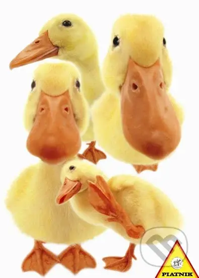 Hanadeka - Kachny - puzzle z kategorie Umělecké